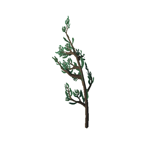 Windswept Thorn Leaf 1